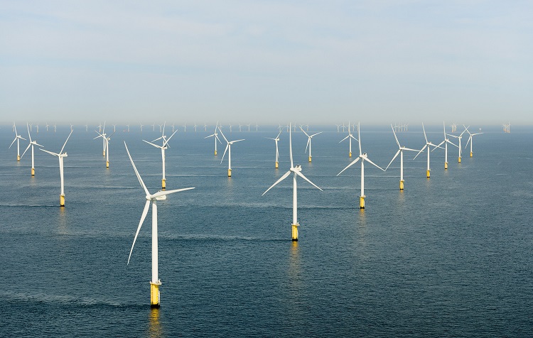 Offshore windfarm