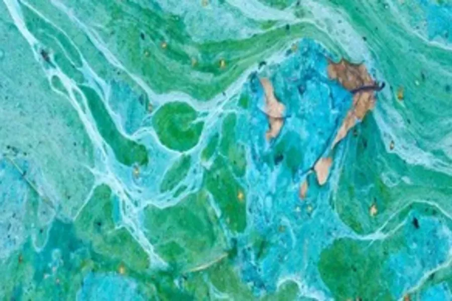 Diffuse Coastal Pollution Ocean